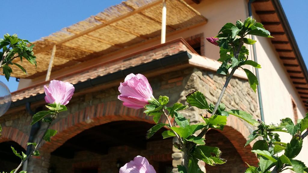 Agriturismo La Nocciolina Venturina Terme Exterior photo